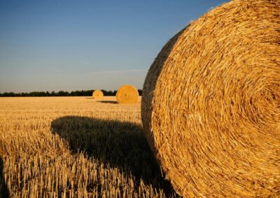 Alt du skal vide om landbrugsdiesel