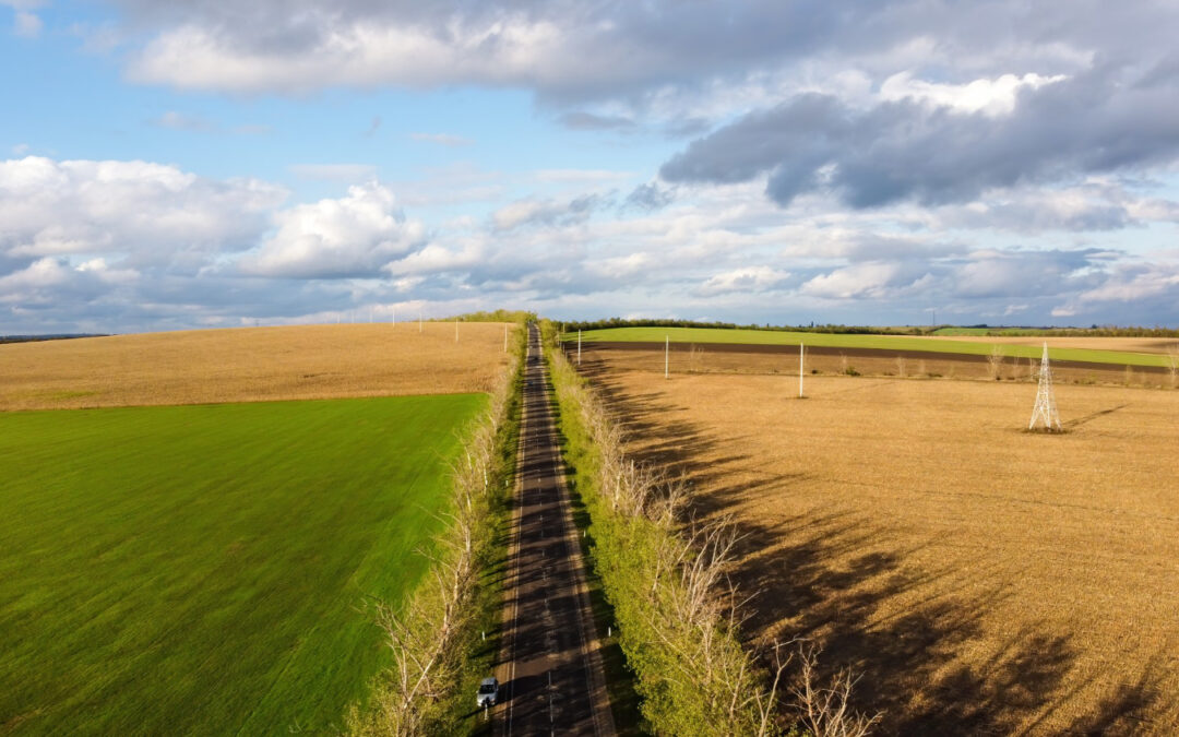 Sådan kommer du i gang med et generationsskifte i landbruget