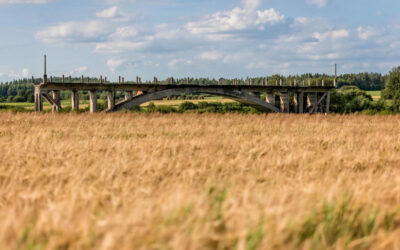 Begravelse og jord – alt du skal vide