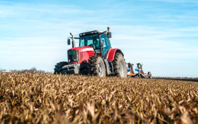 Derfor bør du støtte det lokale landbrug