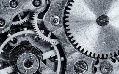 Dette skal du huske, når du er i spidsen for en landbrugsproduktion